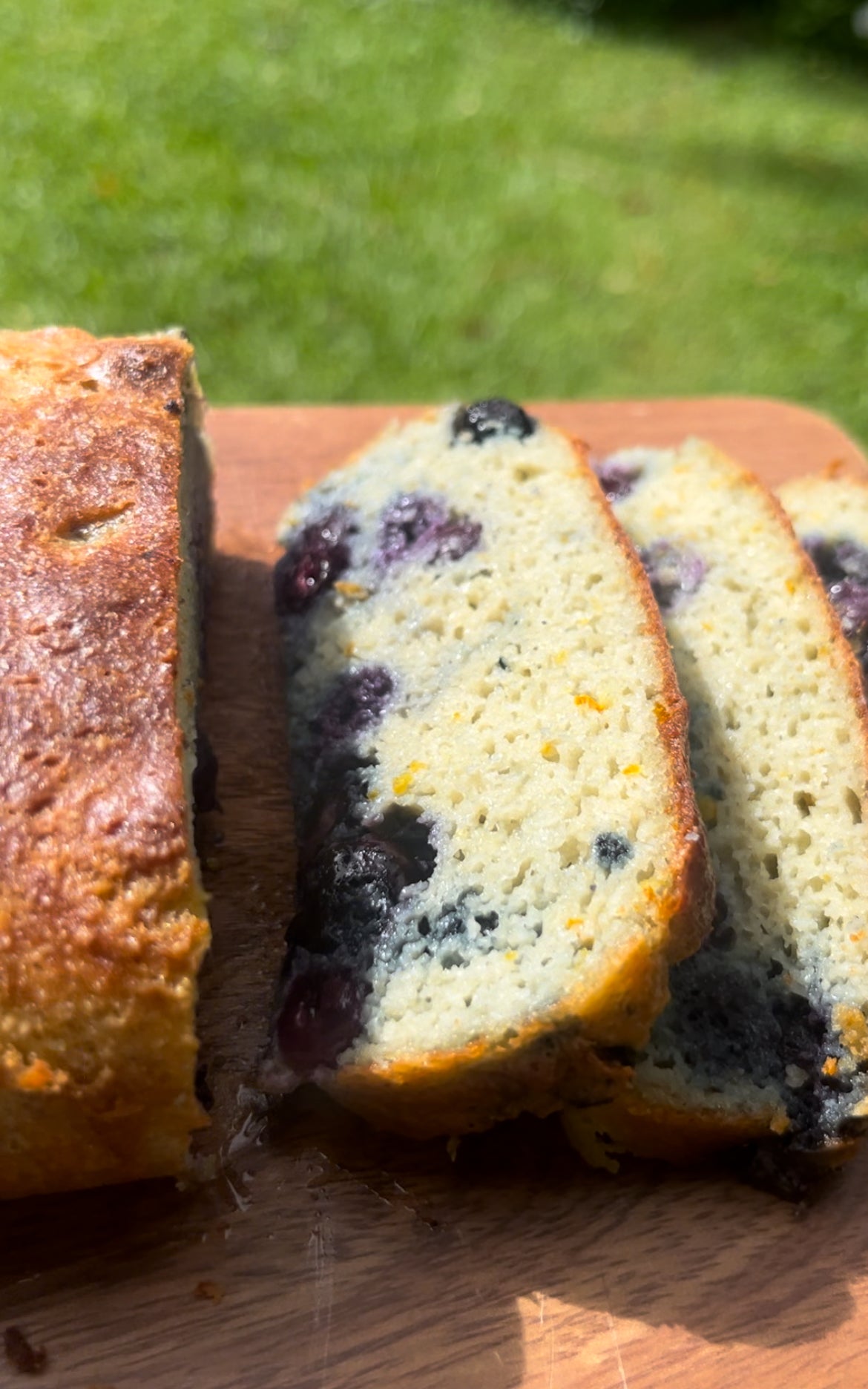 GF Protein Packed Blueberry Loaf